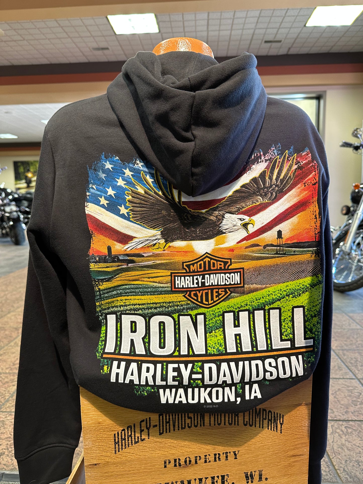 Bike Types-Soaring Eagle Hooded Sweatshirt