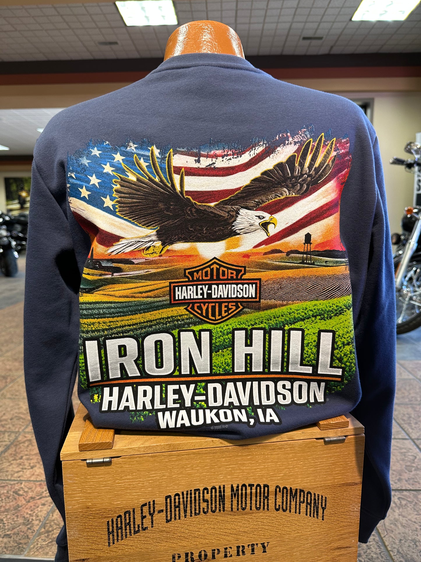 American Orginal-Soaring Eagle - Crewneck Sweatshirt