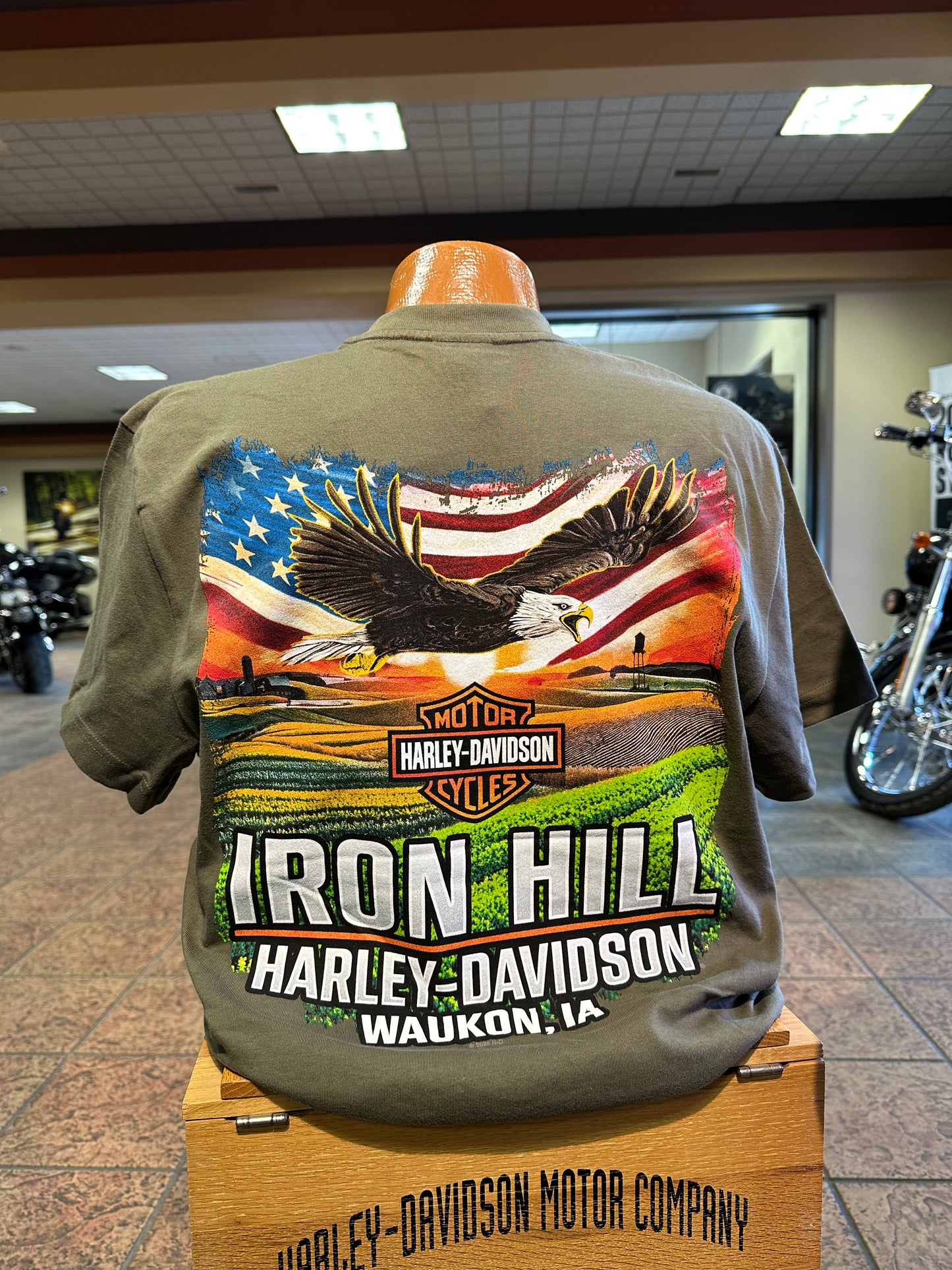 Garage Icon-Soaring Eagle