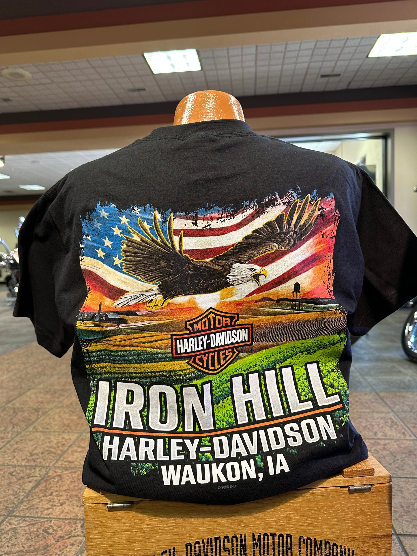 Thunder Strike-Soaring Eagle