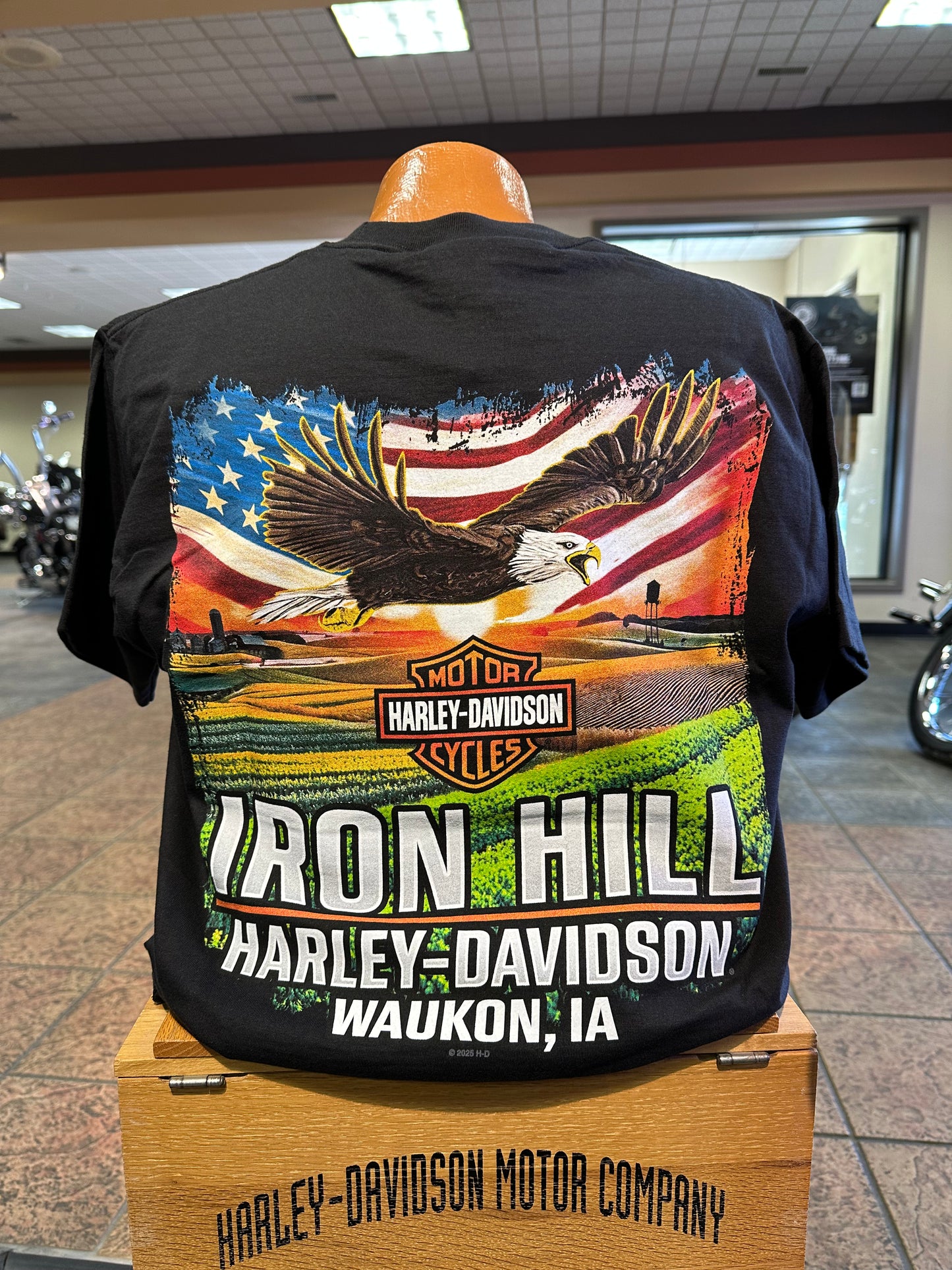 Forever Flying - Soaring Eagle