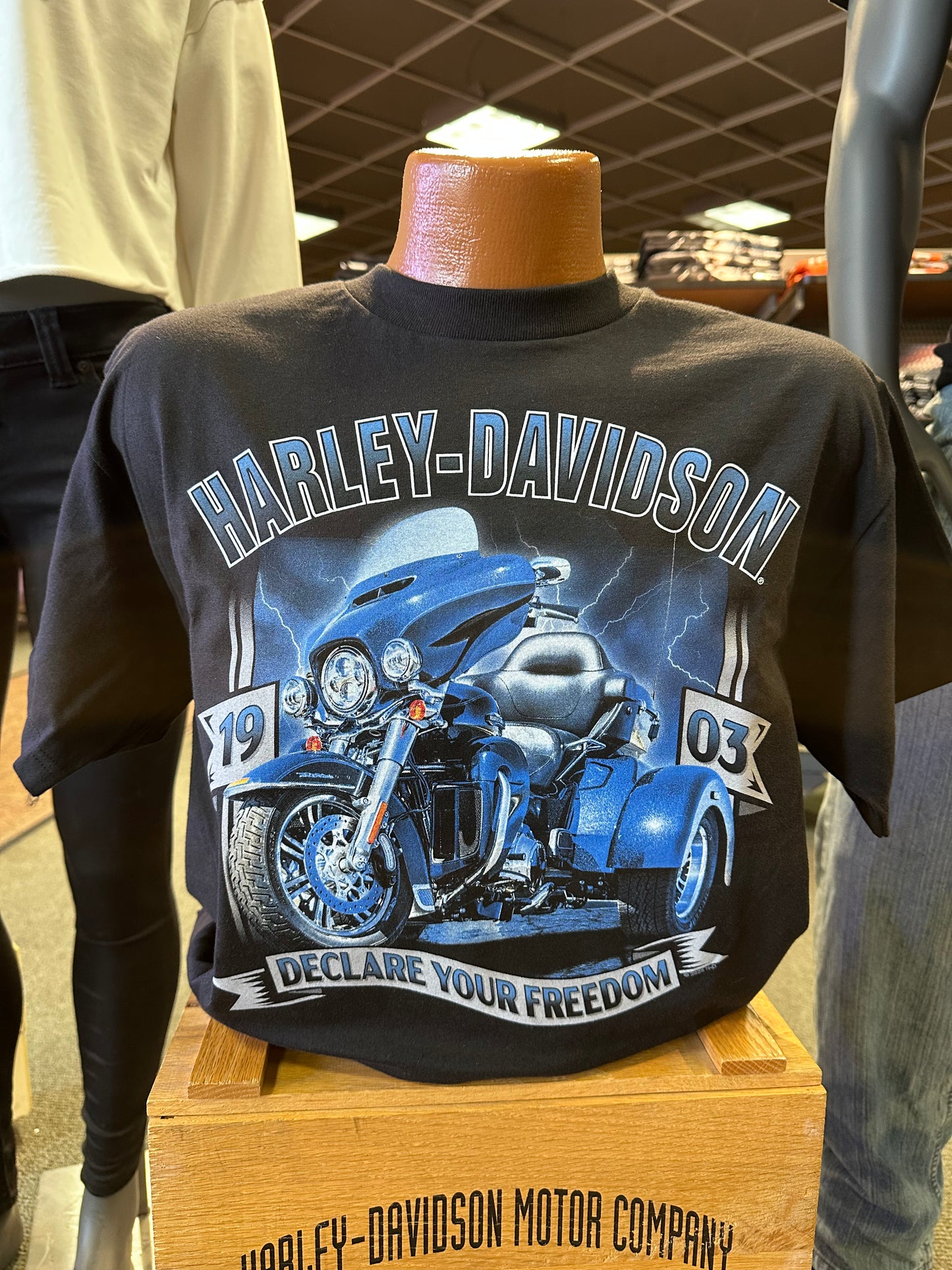 Freedom Trike-Soaring Eagle