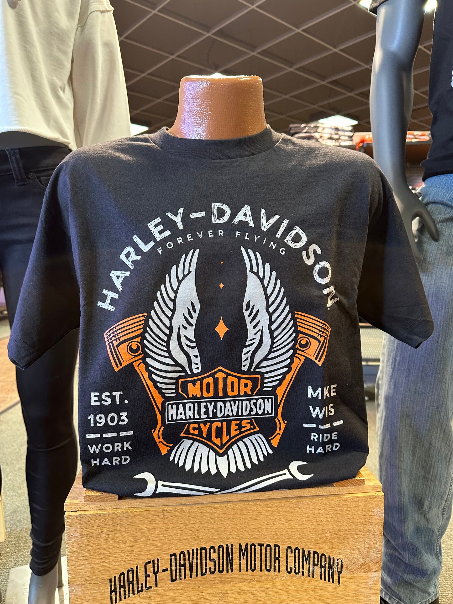 Forever Flying - Soaring Eagle