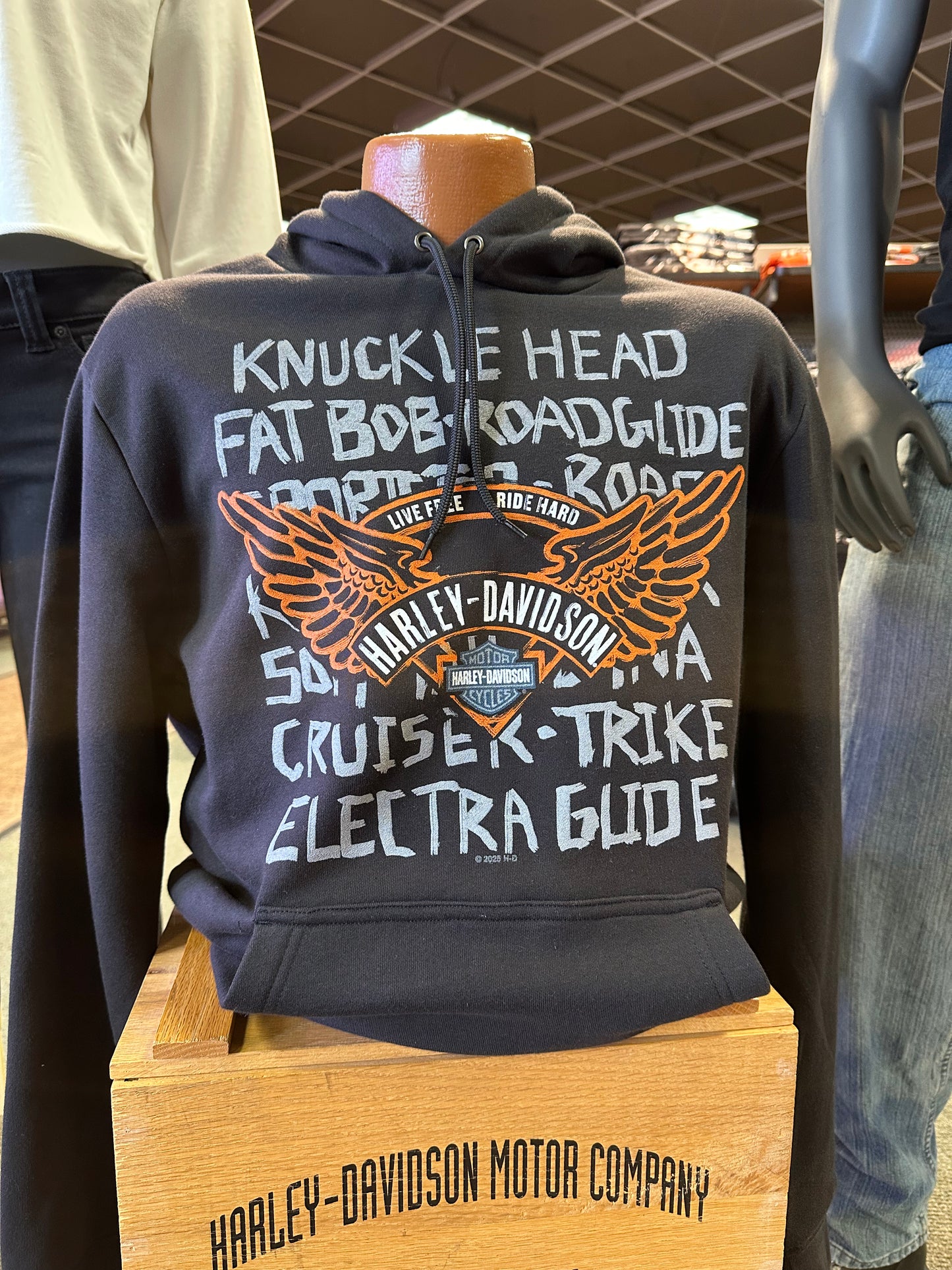 Bike Types-Soaring Eagle Hooded Sweatshirt