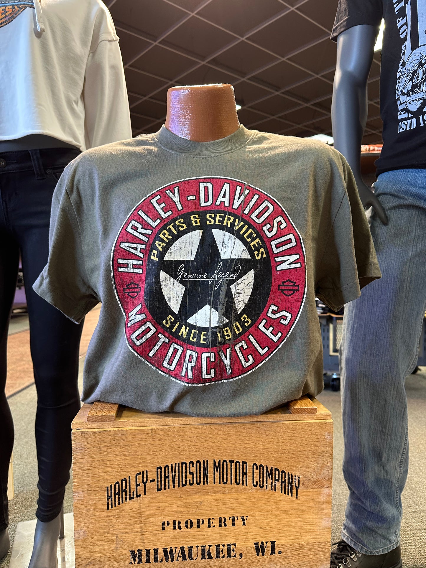 Garage Icon-Soaring Eagle