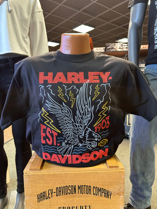 Thunder Strike-Soaring Eagle