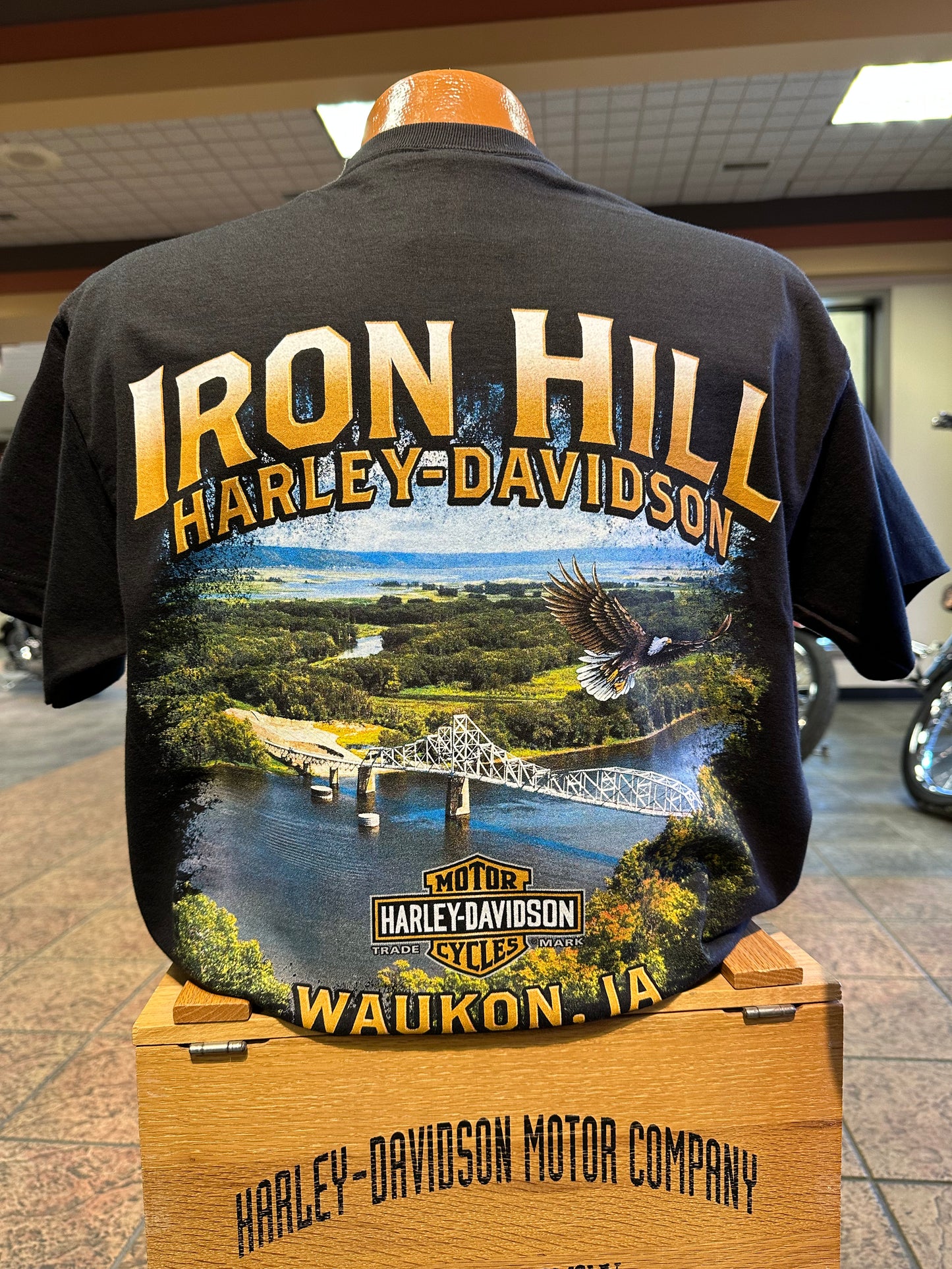 More than a Machine-Lansing Bridge