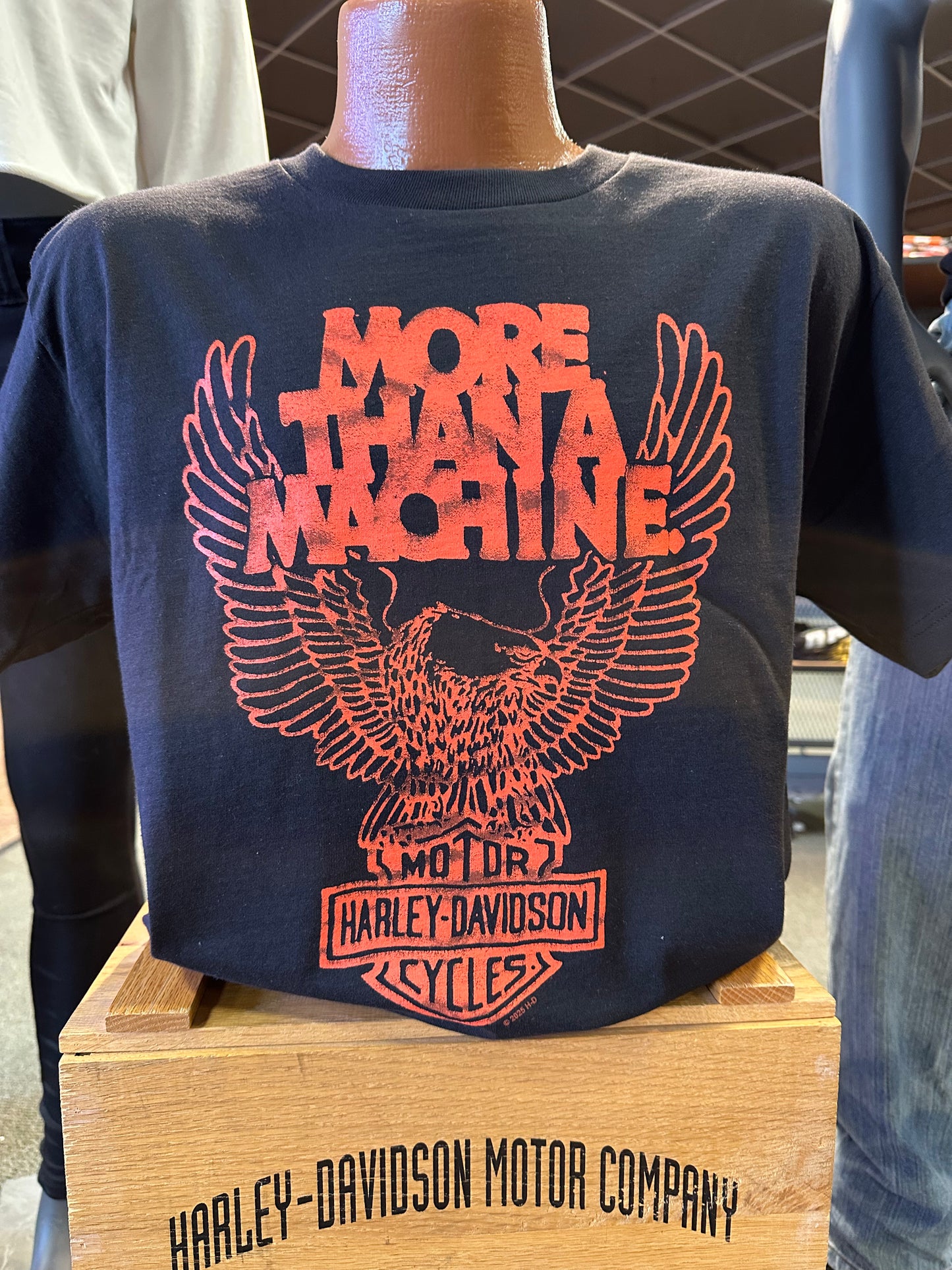 More than a Machine-Lansing Bridge