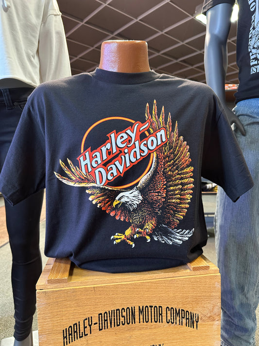 Oval Eagle-Lansing Bridge