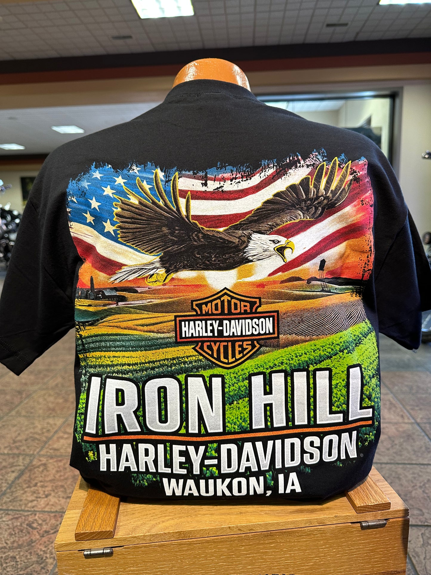 Freedom Trike-Soaring Eagle