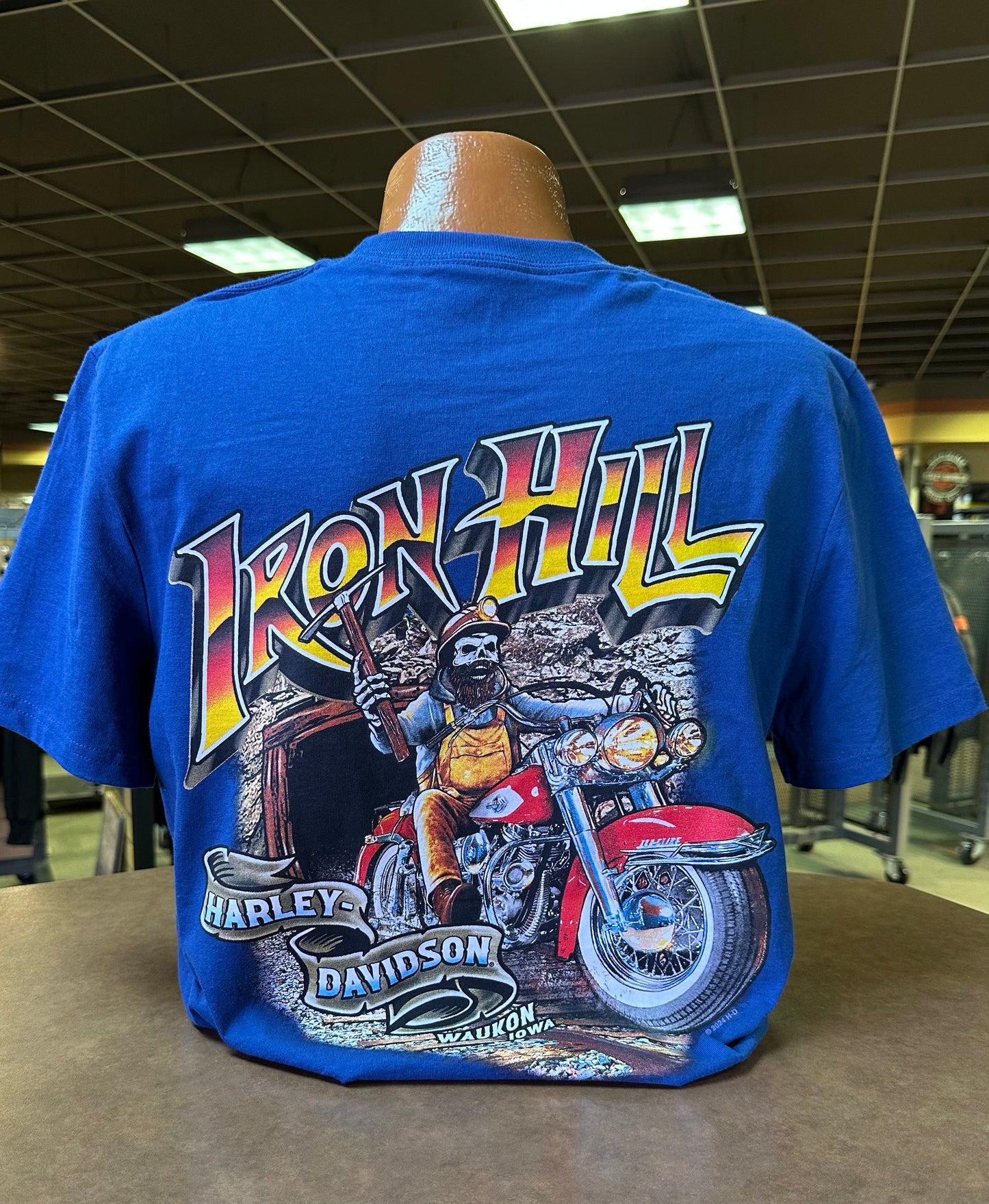 IH Flags Fly Tee- Iron Man Back