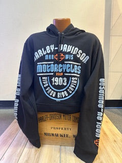 Tryting mns hd po swt - Lansing Bridge